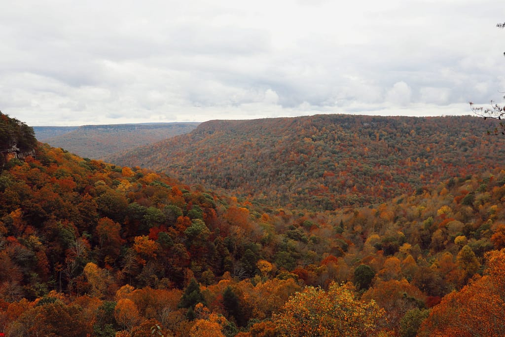 fall in tennessee