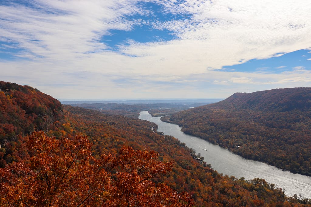 edwards point