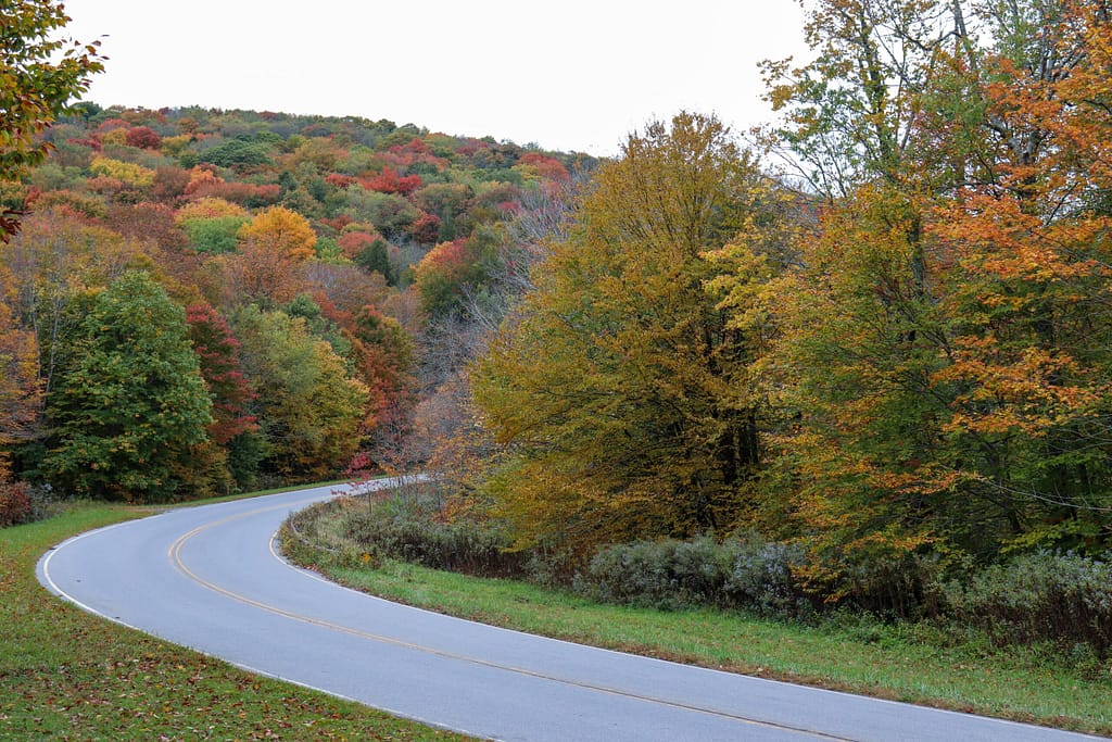cherohala skyway fall drive