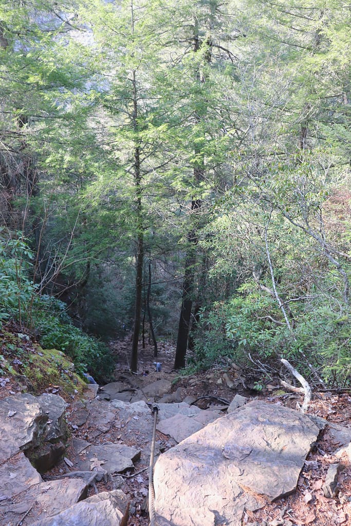 cable trail