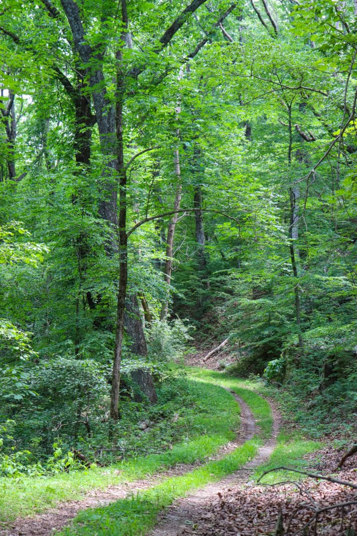 chattanooga bike trails