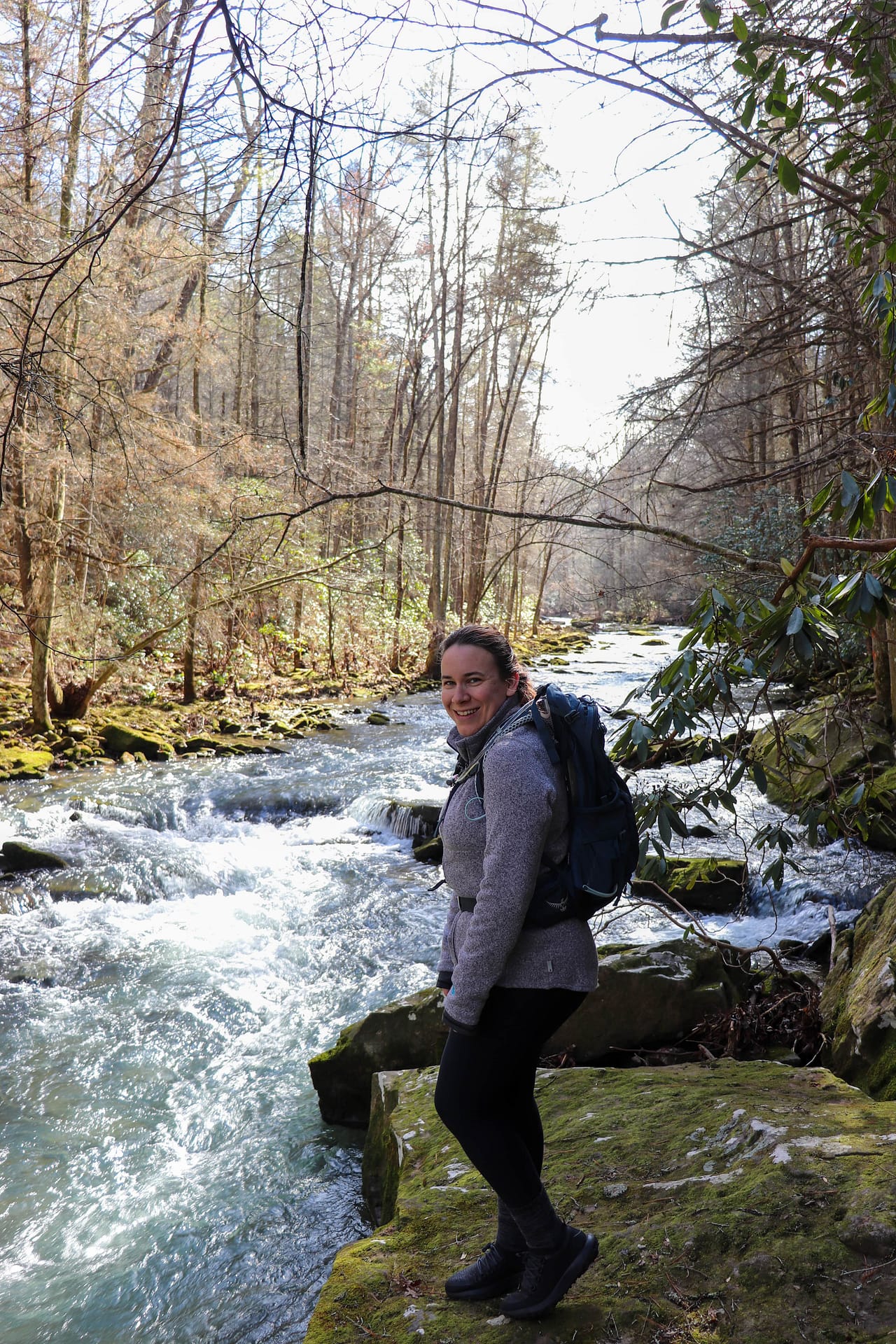 Amanda (exploring chatt) overlooking a raging winter creek crossing on the Cumberland Trail